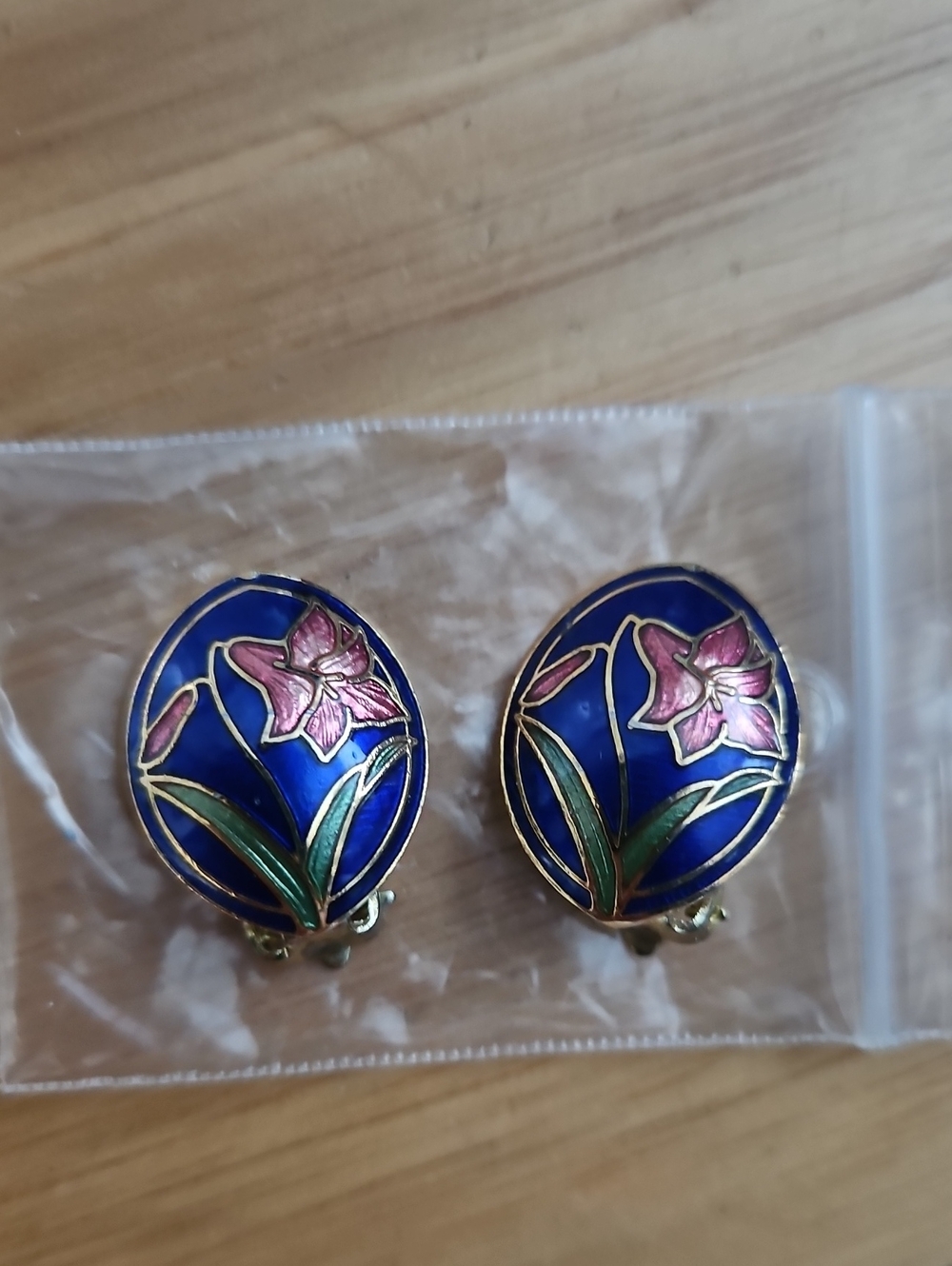 Cloisonne Enamel Clip Earrings